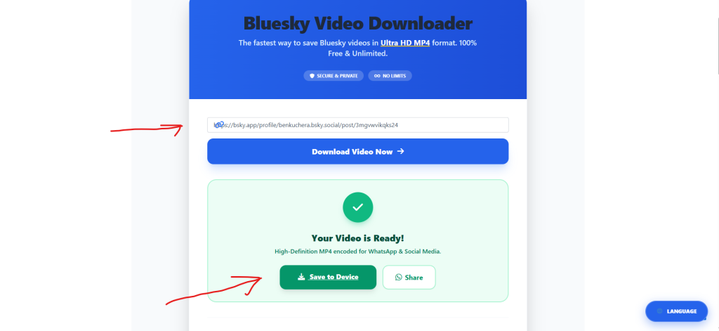 How to Download Bluesky Videos